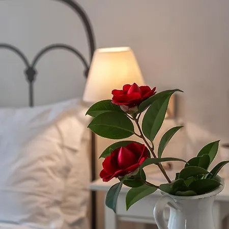 派蒂罗萨b＆b Il花园酒店 招待所 卢卡